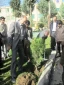 برگزاری مراسم درختکاری در پردیس حکیم فردوسی