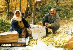 استان البرز در پاییز (کرج - چالوس)