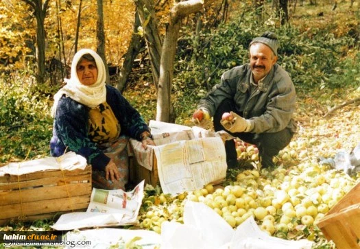 استان البرز در پاییز (کرج - چالوس)