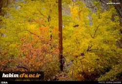 استان البرز در پاییز (کرج - چالوس)