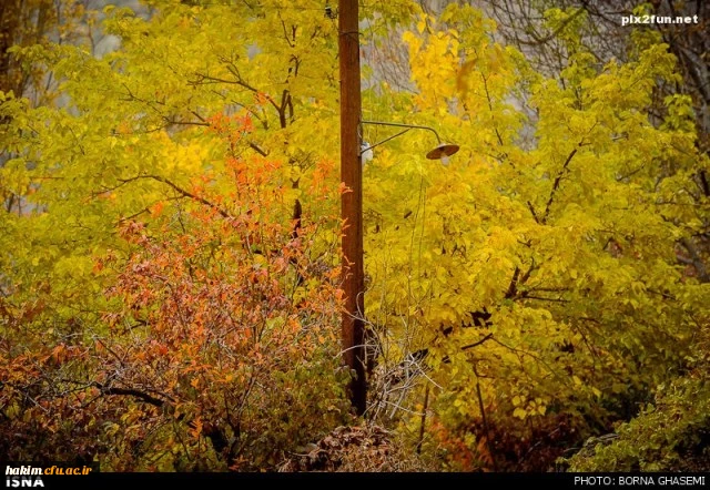 استان البرز در پاییز (کرج - چالوس)