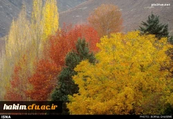 استان البرز در پاییز (کرج - چالوس)