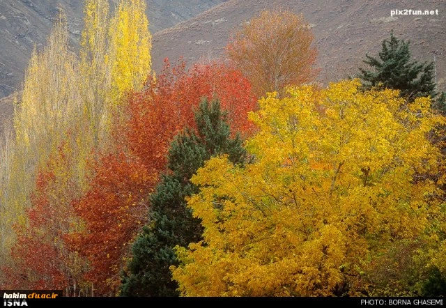استان البرز در پاییز (کرج - چالوس)