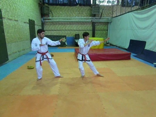 کسب مقام قهرمانی در مسابقات چند جانبه تکواندو استان البرز

 دانشجو معلمان پردیس حکیم فردوسی البرز   
 4