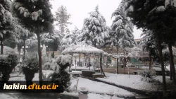 پاییز با رنگ زمستان در پردیس حکیم فردوسی 2