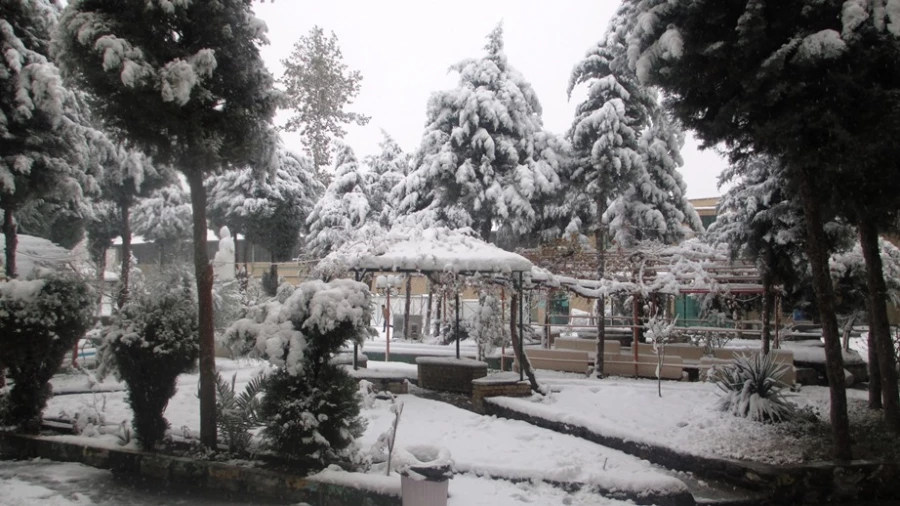 پاییز با رنگ زمستان در پردیس حکیم فردوسی 2