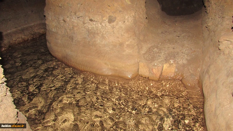 برگزاری اردوی علمی آموزشی از ایران کوچک(کرج) تا خلیج همیشه فارس 4