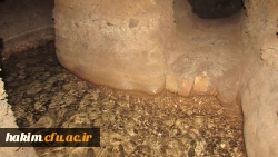 برگزاری اردوی علمی آموزشی از ایران کوچک(کرج) تا خلیج همیشه فارس 4