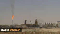 برگزاری اردوی علمی آموزشی از ایران کوچک(کرج) تا خلیج همیشه فارس 5