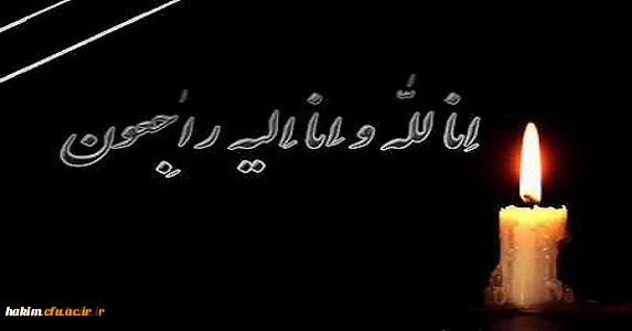 269933_3202598008_573_300