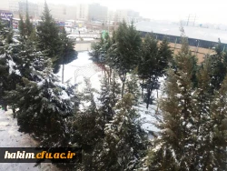 حکیم فردوسی در زمستان 7