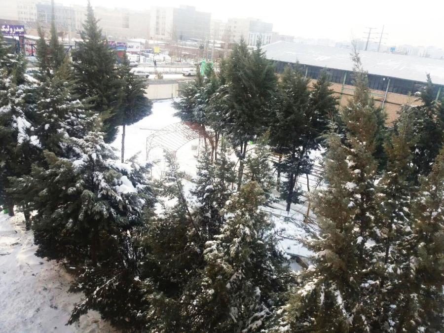 حکیم فردوسی در زمستان 7