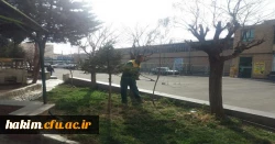 درختکاری، گل کاری وزیباسازی فضای سبز پردیس 3