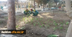 درختکاری، گل کاری وزیباسازی فضای سبز پردیس 4