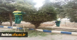 درختکاری، گل کاری وزیباسازی فضای سبز پردیس 5