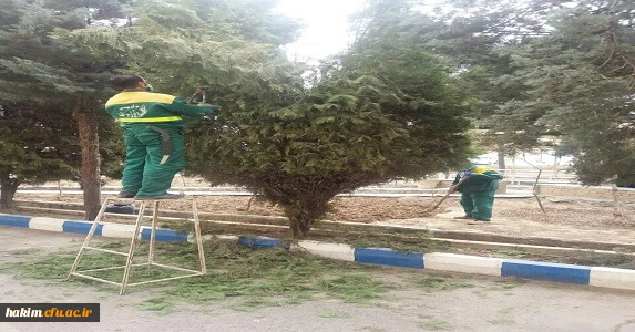 درختکاری، گل کاری وزیباسازی فضای سبز پردیس 5