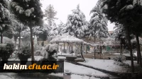 پاییز با رنگ زمستان در پردیس حکیم فردوسی